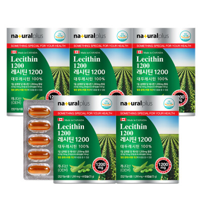Lecithin/1200/Five-Box/Cholesterol/Upgrade/Botanical/Phosphatide/60%