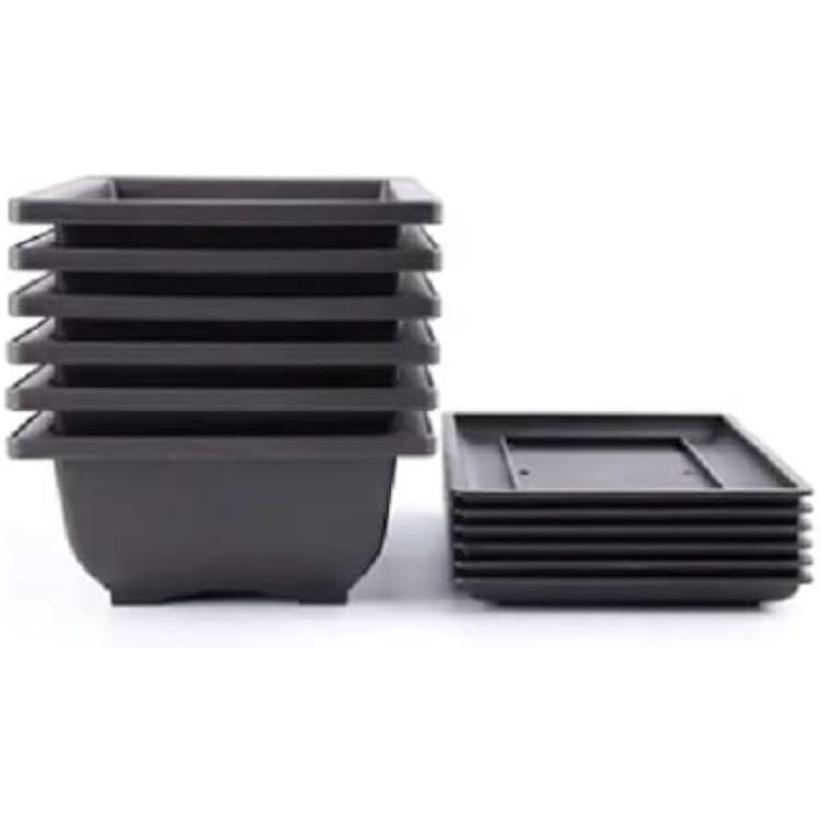 CZ Grain 6 Inch Bonsai Pots and Drip Trays - Starter Bonsai Pots, Small Bonsai Pots 3 Pots