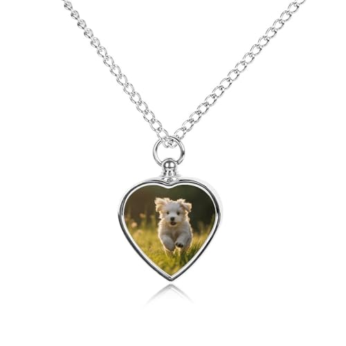 Pet Urn Necklaces for Ashes Fur Cremation,Ashes Necklace with Puppy Crossing The Grass Patten Memorial Keepsake for Pet Human
