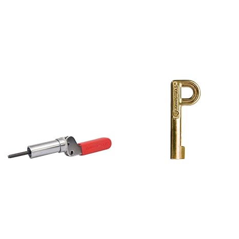 TTBW-158 Steel Barrel Fastener Plunger Tool for Water Utility Fasteners with 0.158 Inside Diameter & TTK-225, P Key, for Self Lock Pedestal Lock, Brass, Gold