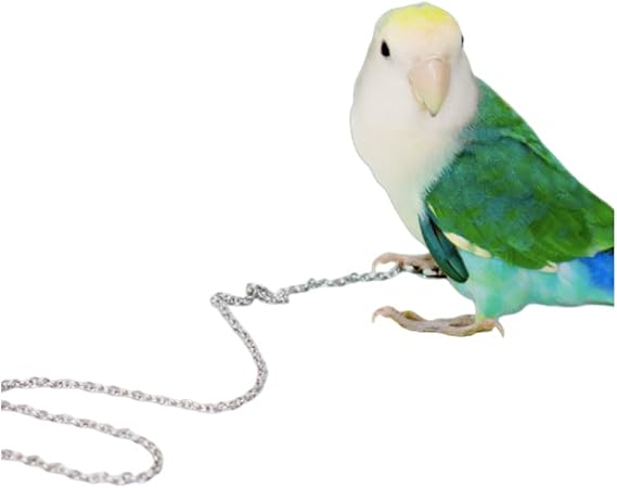 Bird Foot Chain Flying Stainless Steel Training Rope Outdoor Parrot Ankle Foot Ring Accessories Bird Harness Leash Prevent Escaping (6#)