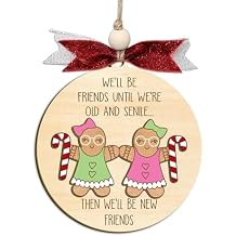 Funny Best Friends Ornaments, Coworker Funny Ornament, Best Friends, Friendship Gifts for Women, Hilarious Besties Christmas Ornaments (C7)
