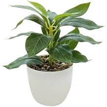 YZZY Faux Fern Plants Artificial Potted Plant Fake Fern Greenery Arrangement with Pot for Indoor Home Desktop Decoration (1pcs Large Belly Pot)