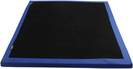 Shoe Soles Disinfecting Floor Mats - Sponge Entrance Mat, Shoe Sanitizer Mat for Hospital, Laboratory, Indoor/Outdoor Use (60x90cm)