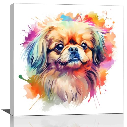 AeRosx Pekingese dog watercolor painting print -large wall art watercolor,baby boy nursery canvas wall art,large framed canvas print,12x12 inch-Ready to hang, white-1