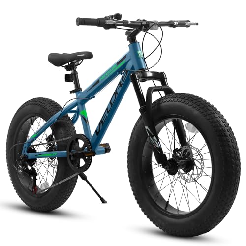 20 Inch Fat Tire Bike Adult 7 Speed Mountain Bike, Dual Disc Brakes, High Carbon Steel Frame, Front Suspension, Mountain Buggy, City Commuter City Bike