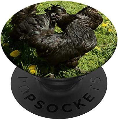 Ayam Cemani Black Chicken PopSockets Swappable PopGrip