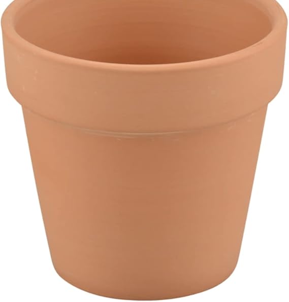 2 Pack - 3.5" Terra Cotta Clay Pots