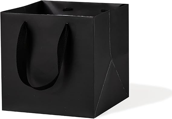 LFCXHTY 20 Pack Square Gift Bags Solid Small Black Gift Bags with Handles for Party Favor Bag (6x6x6 In, Black)