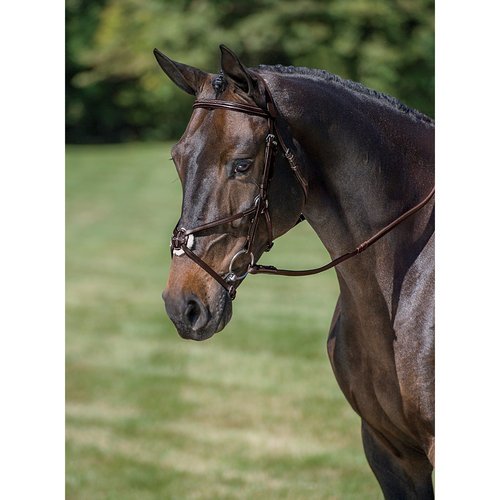 Dover Saddlery Figure-8 Bridle, Color: Brown, Size: Horse-FS