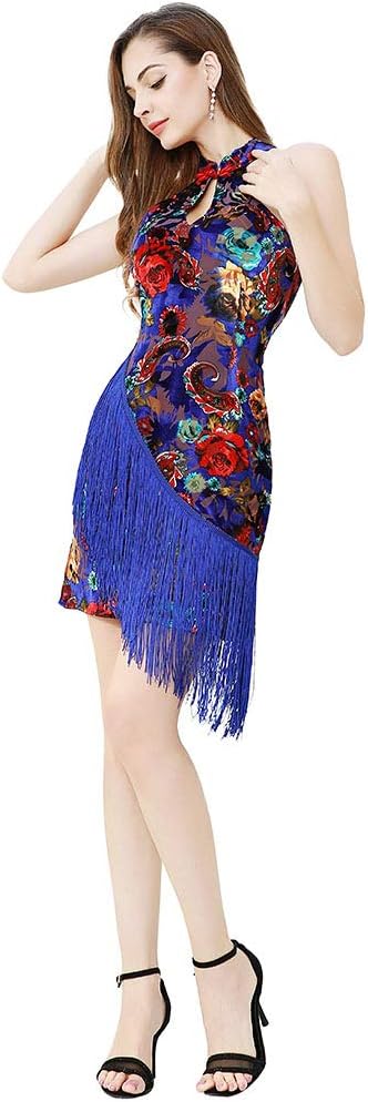 ROYAL SMEELA Women Fringe Latin Dance Dress Flapper Party Dress Rumba Salsa Dress Ballroom Costumes Velvet Dancing Outfit