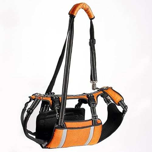 COODEO Mobility Dog Lift Harness, Emergency Carry Sling, Pet Rear Leg Support Rehabilitation Lifts Vest, Dog Carrier for Senior Dogs Joint Injuries, Arthritis Orange, M