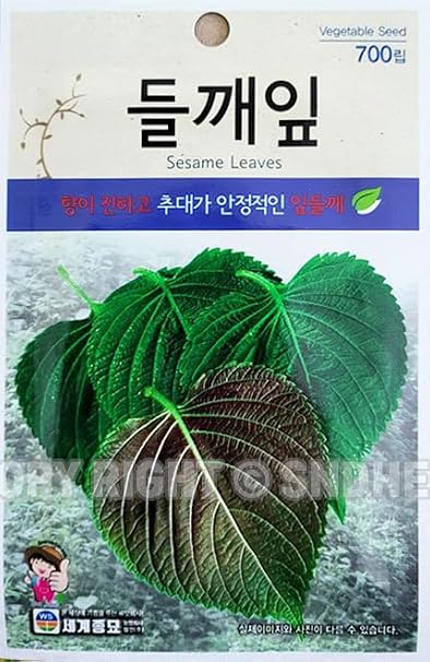 Perilla Seeds Korean 1 Pack 4 Grams .