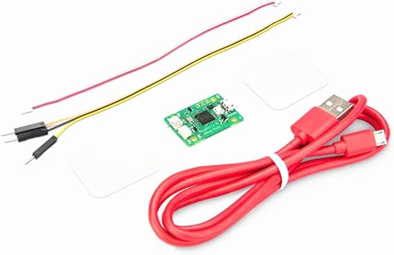 USB Debug Probe Kit for Raspberry Pi Pico - RP2040 Microcontroller with 3-Pin Debug Connector Cable and Clear Cover Case @XYGStudy