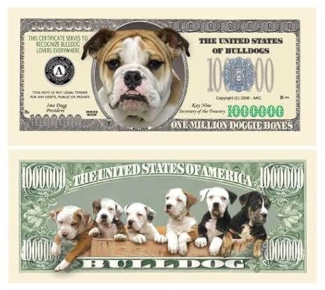 DDI Bulldog Million Dollar Bill Case Pack 100