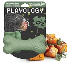 Playology Dog Toys | Dual Layer Bone Durable Chew Toy Bone for Dogs | Medium Butternut Squash & Sage Scented Toy - Limited Edition Fall Scent | Easy to Clean and Made from Non Toxic Materials