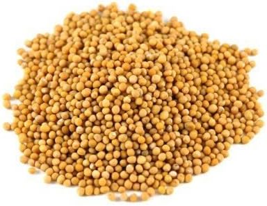 JALPUR MILLERS Yellow Mustard Seeds–whole spice with Mild Heat & Tangy Flavour–Whole Mustard Seeds for Cooking, Pickling, seasoning and Homemade Mustard – Natural Immunity Booster super Spice-200g