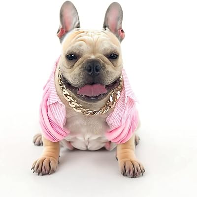 French Bulldogs Puppy Gold Chain Collar, Gold Chain Collar for Dogs Pitbull Dog Gold Chain Necklace Cool Gold Metal Collar Jewelry and Accessories for Dogs Cats