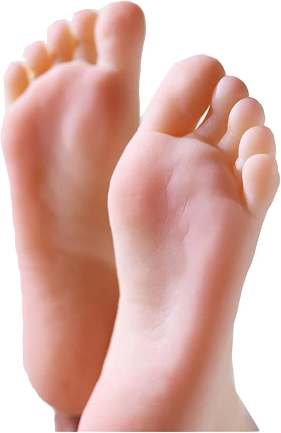 2Pcs Silicone Feet Model, Silicon Life Size Feet Model Female Mannequin Foot,Female Silicone Foot Feet Model, for Shoes Display Model Art Sketch