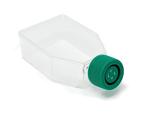 SPL Cell Culture Flask 25 cm2 (T25) Filter Cap, Treated, Sterile, 200/Case