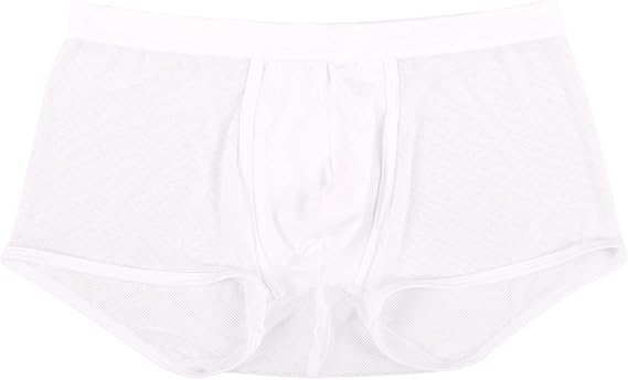 Mens Low Waist Mesh Boxer Briefs Lightweight Breathable Shorts Sports Comfortable Underwears