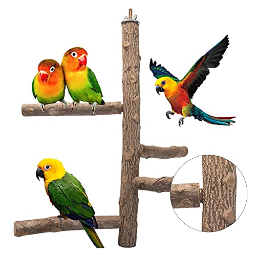 Bird Perch Natural Wood Stand Toy, Parrot Perch Branch for 3-4pcs Small Medium Birds, Birdcage Toy Climbing Stairs for Parakeets Cockatiels, Conures, Macaws, Parrots, Love Birds, Finches