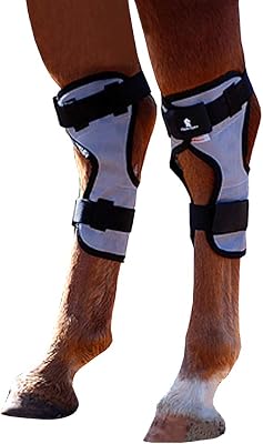 Classic Equine MagNTX Hock Wrap