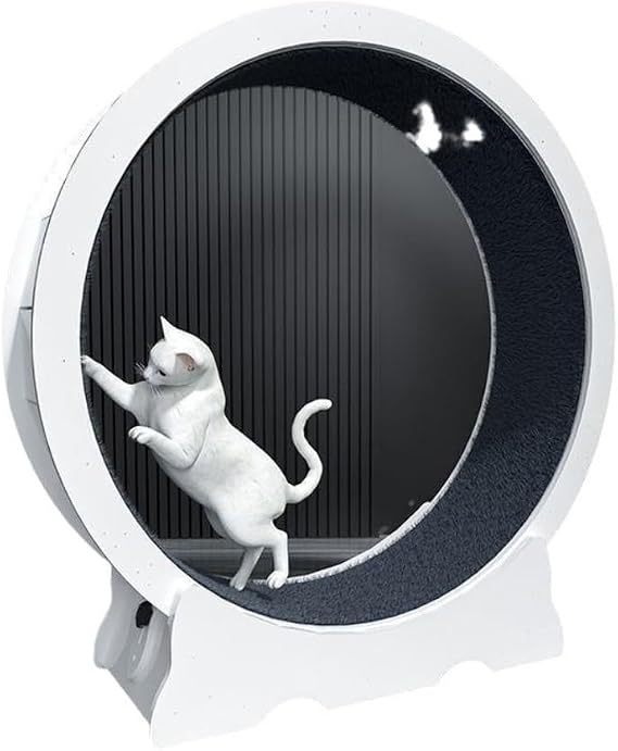 Cat Wheel Large Cat Treadmill, Cat Running Wheel, Cat Exercise, Cat Climbing Frame, High Fiber Cat Roller, Cat Treadmill, Silent Cat Wheels(Small)