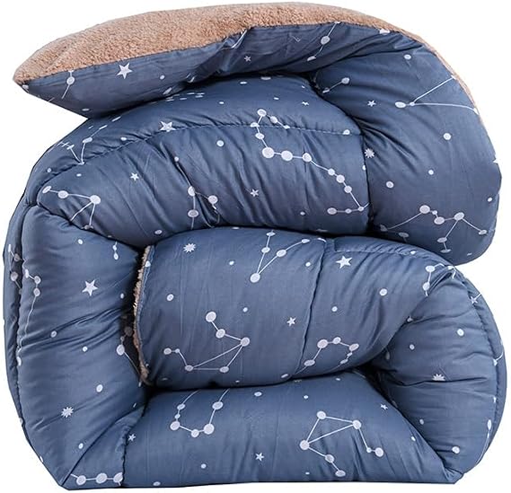 ZTGL Double Sided Thicken Winter Quilt, Single Double Duvet, Extra Warmest Breathable Lamb Fleece Bed Blanket, Super Soft Bedding Lamb Fleece Comforter Core,K,220x240cm(4.0kg)
