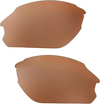 Replacement Lenses for Smith Optics Parallel D-Max Sunglasses