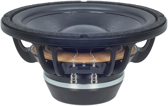 B&C Speakers 10BG76-8 LF Drivers 10-Inch NEO Rolled Edge Woofer 8-Ohms 500-Watta Rms 1000-Watts Max Pro Audio Component Speaker Driver for Motorcycle Car