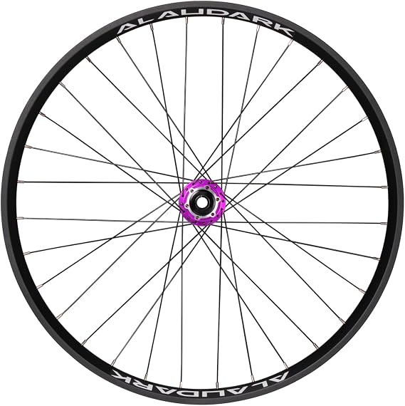 Dirt Jump Bike Wheel D30 26" Double Wall Alloy 6-Bolts Disc Brake Mount with Alaudark Lark DJ Hubs