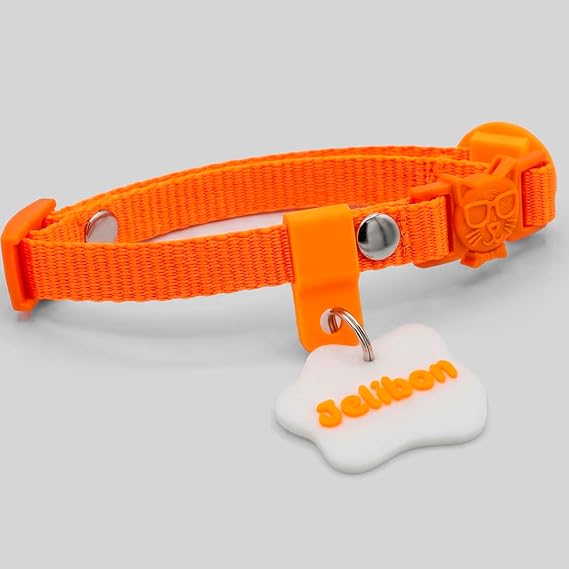 Charmlı, İsimlikli, Telefon Numarası Yazılı, Kedi Boyun Tasması (Safety Click) (Turuncu)