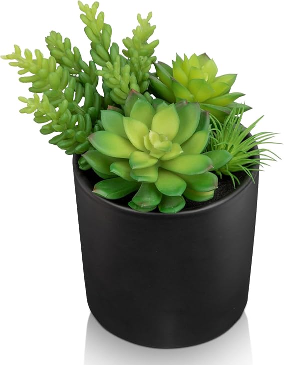 Hollyone Artificial Succulents in Pots Faux Succulents Plants Fake Succulent Arrangement Potted Plants with Black Ceramic Vase for Office Desk Bathroom Shelf Living Room Indoor Home Decor