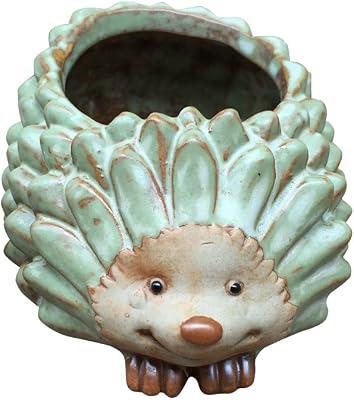 VORCOOL Animal Shaped Cartoon Flower Pot Cute Hedgehog Vase Pot Home Decoration for Succulent Plants