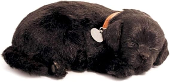 Perfect Petzzz Sleeping and Breathing Black Labrador Retriever Puppy New soft Version