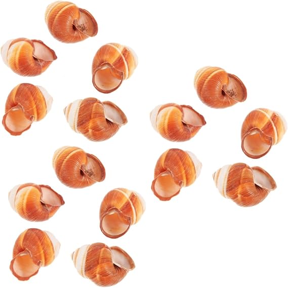 Zerodeko 15pcs Edible Snail Shells for Cooking Escargot Natural and Safe Baking Containers for Home and Restaurant Use Heat Insulated French Snail Shells