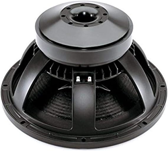 B & C B&C 15TBX100 Studio Subwoofer