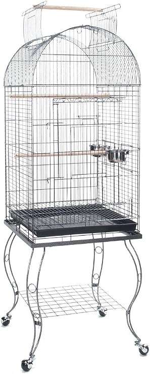 Bird Parrot Cage Cockatiel Amazon African Grey Caique Conure, 20 X 20 X 65"h