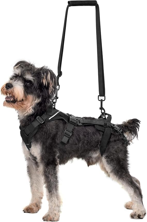 OneTigris Dog Lift Harness for Small Dogs XS, Dog Sling Carrier for Small Dogs, Full Body Lift Harness with Reflective Straps, Dog Support Harness for Back Legs