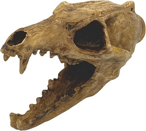 Screaming Aztec Death Whistle at 135 decibels - Carnivore by TribalEcho