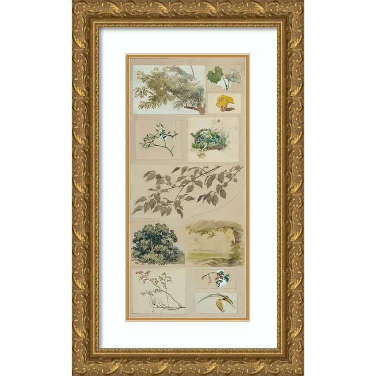 ArtDirect Josef Wawra 10x18 Gold Ornate Frame and Double Matted Museum Art Print Titled: Studies According to Nature 1920 I