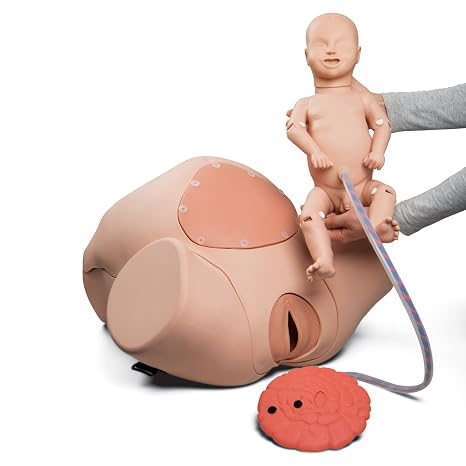 3B Scientific 1020333 Birthing Simulator PRO