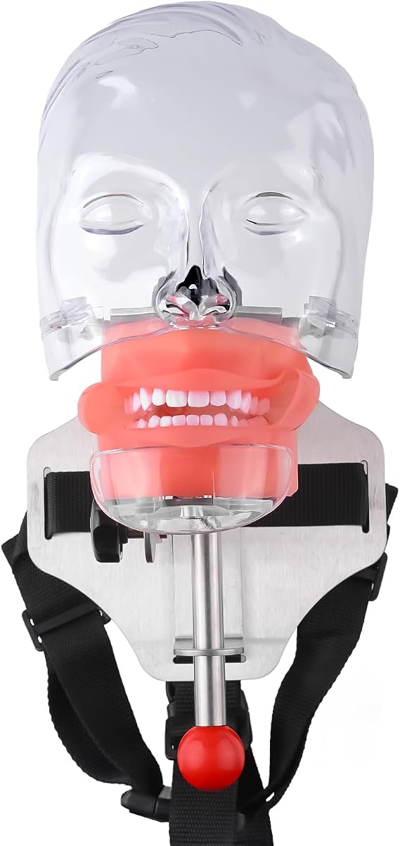 Simple Head Model Dental Simulator Phantom Head for Dentist Education Head Model Phantom