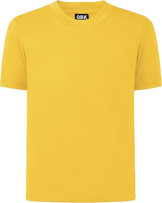QBK 2T to Youth Neon Shirt Kids UPF 50+ Dry Fit Athletic Short Sleeve Tee