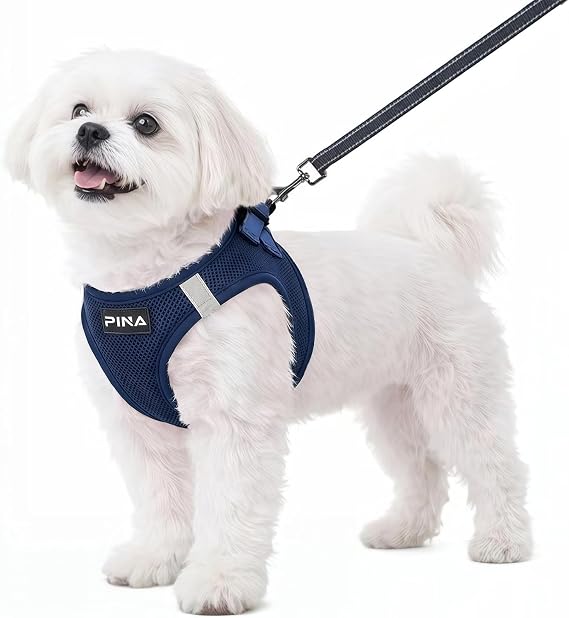 PINA Küçük Köpekler için Köpek Koşum Takımı Çekmez, Küçük Köpek Koşum Takımı ve Tasma Seti, Boğulma Yok Nefes Alabilir Örgü Köpek Yelek Koşum, Hafif Ayarlanabilir Küçük Orta Köpek Koşum Takımı -