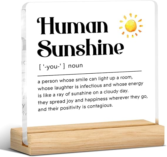 Human Sunshine Gifts for Women Men Appreciation Desk Decor Sign