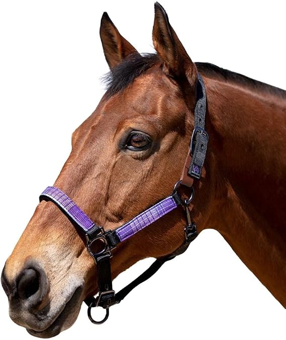 Kensington Premium Breakaway Halter with Padded Nose Added Breakaway Safety Measures Snap at Throat for Identical Fit Each Time