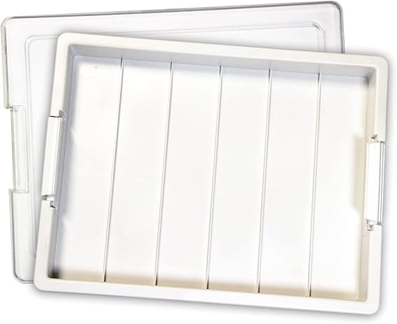 Elizabeth Ward Bead Storage Solutions Plastic Organizer Tray with Clear Snap Shut Lid for Sorting Craft Supplies, Fasteners, Crystals, and More