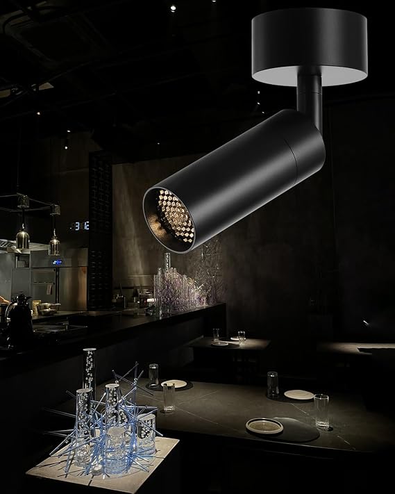 Light Fixtures, Modern LED Ceiling Spotlight, 10W Zoom Track Spotlight, Adjustable Angle for Versatile Indoor Accent Lighting in Restaurant, Cafeterias, Corridors...